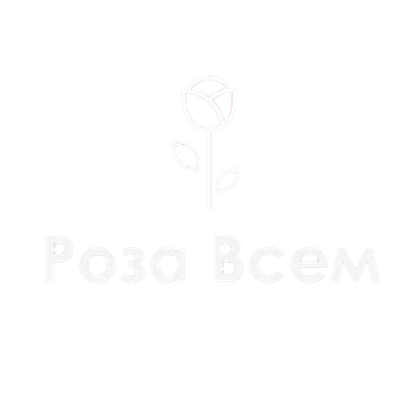 Роза Всем